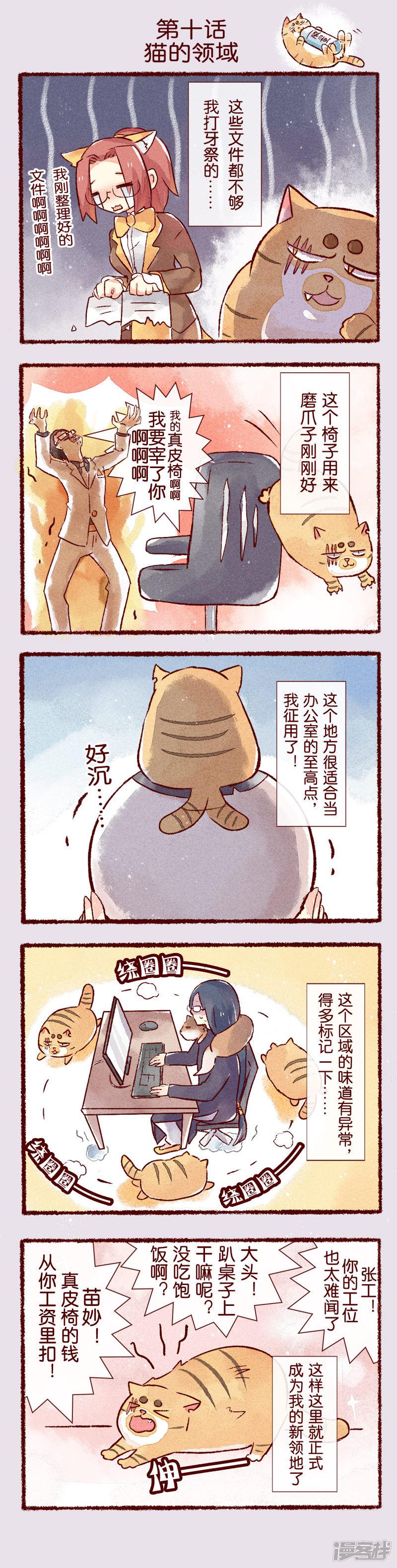 第10话 猫的领域-0