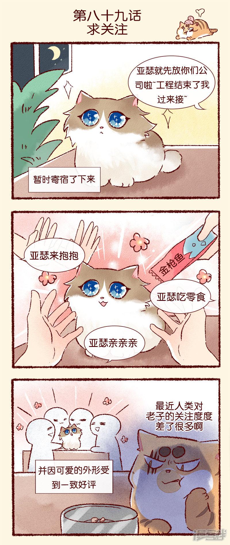 第89话 求关注-0