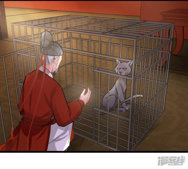 第54话 猫妖指认-6