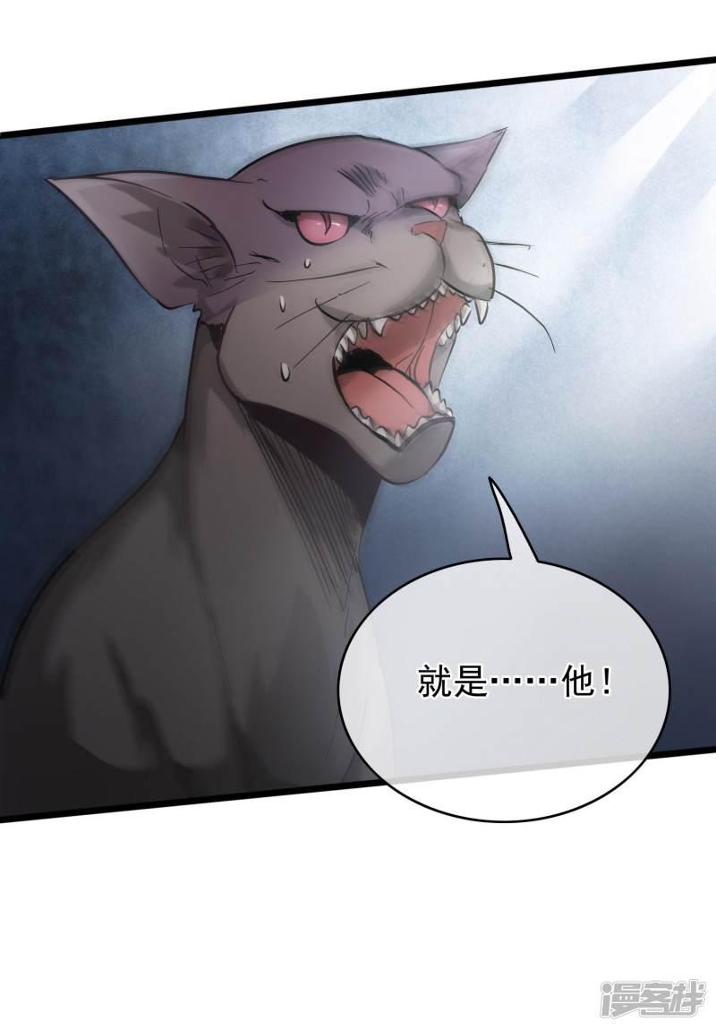 第54话 猫妖指认-11