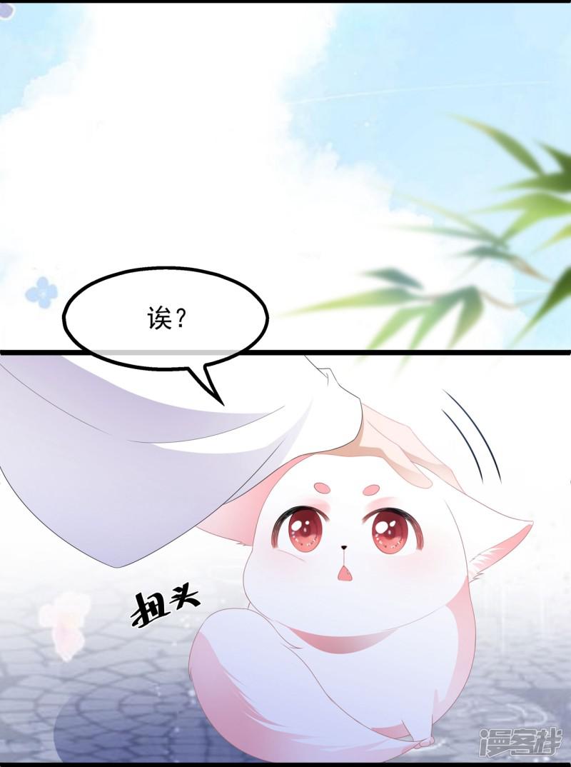 第39话 宸王母妃-30