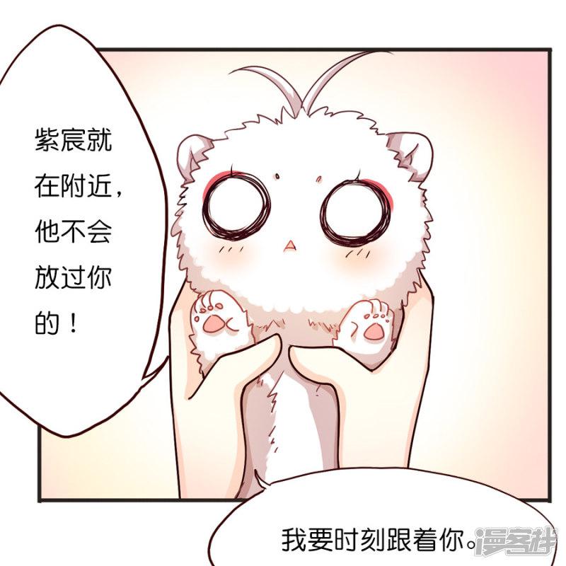 第39话 猫比狗受欢迎哦！-10