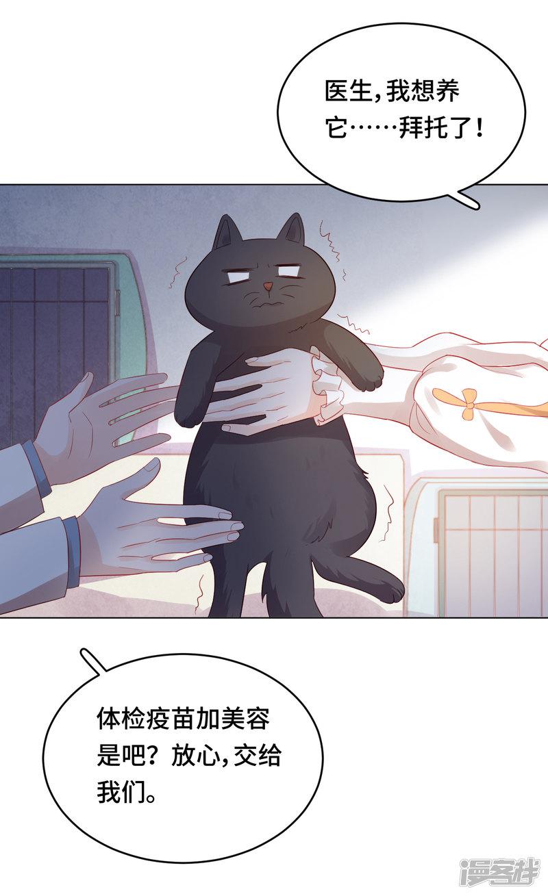 番外2 猫生赢家-7