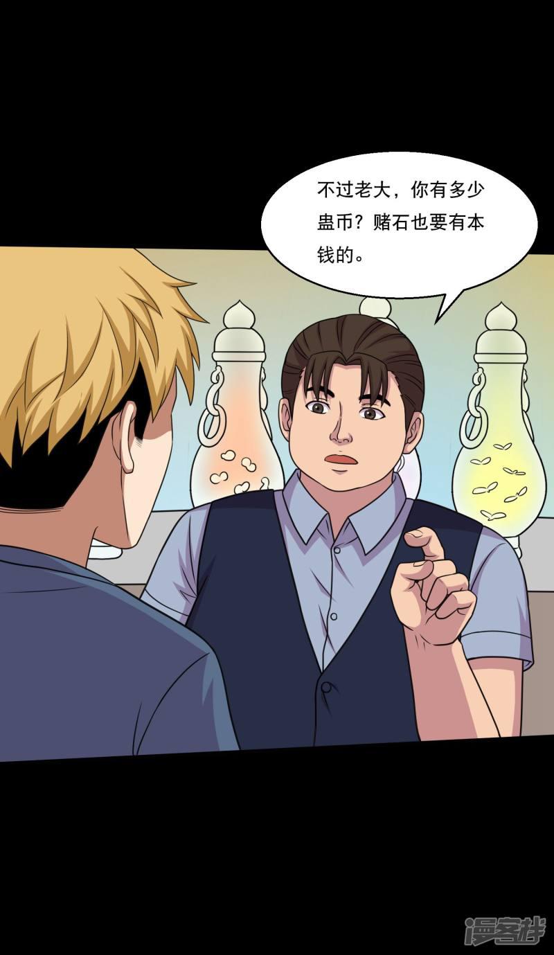 第46话 一拍即合去赌石-13