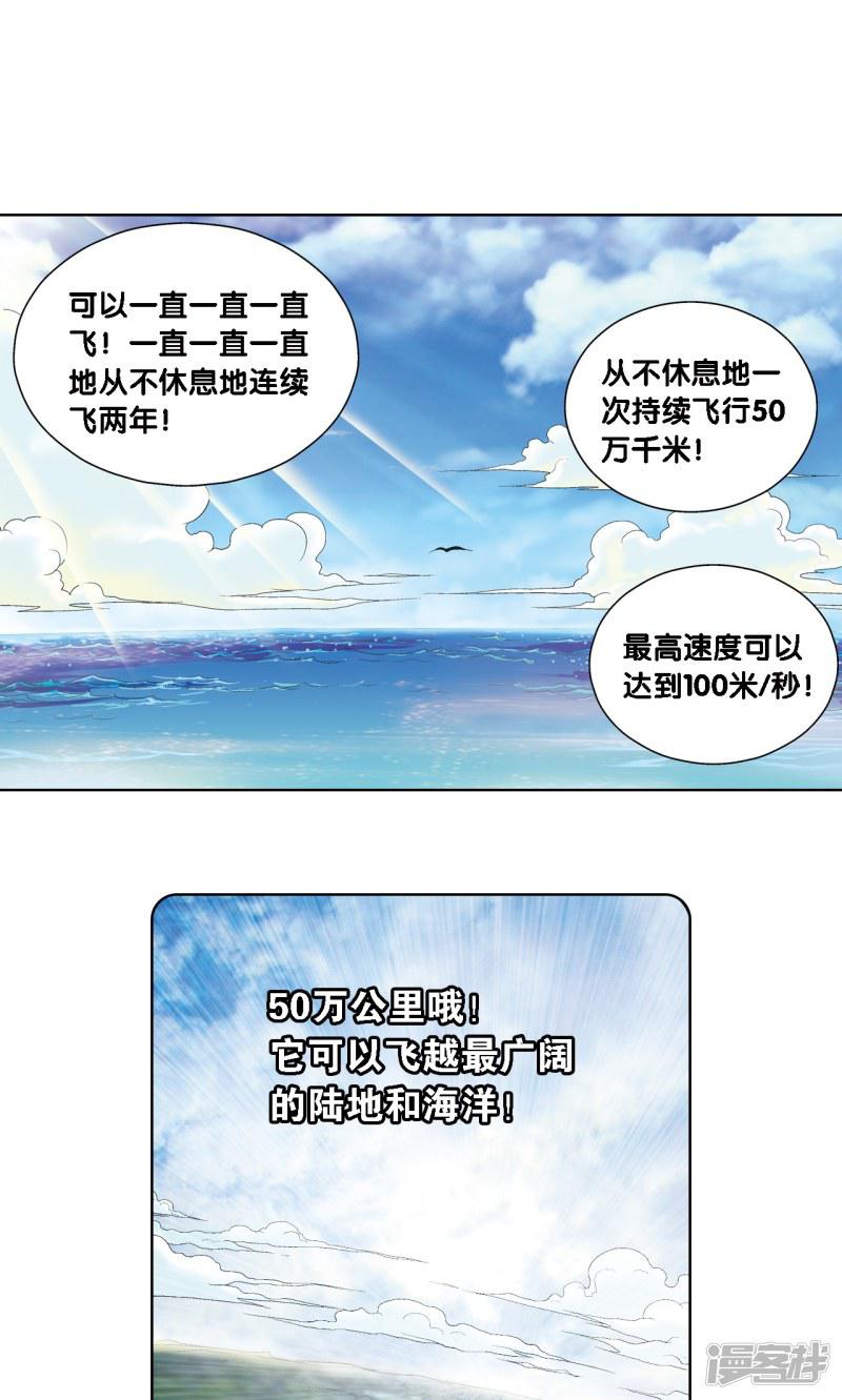 第35话 蜂鸟和雨燕-14