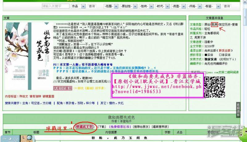 关于我的小说宣传和封面-0