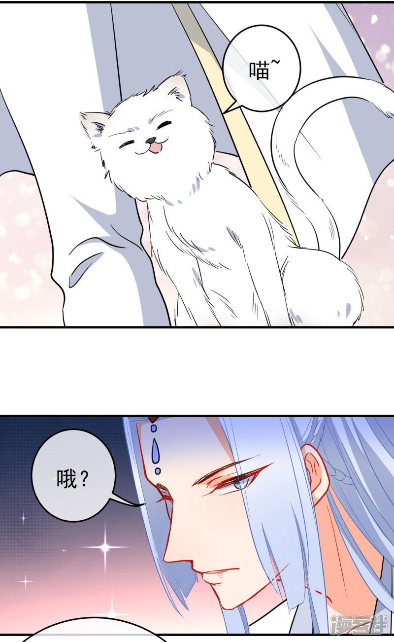 第144话 猫的主人-8